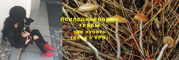 шишки Пересвет