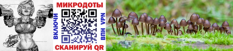 Галлюциногенные грибы Magic Shrooms Ужур